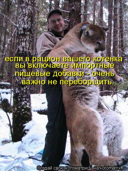 если в рацион вашего котенка вы включаете импортные пищевые добавки - очень важно не переборщить.... Котоматрица: если в рацион вашего котенка вы включаете импортные пищевые добавки - очень важно не переборщить.