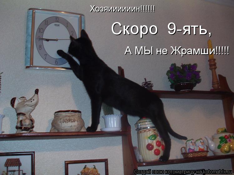 Хозяиииииин!!!!!! Скоро 9-ять, А МЫ не Жрамши!!!!!... Котоматрица: Хозяиииииин!!!!!! Скоро 9-ять, А МЫ не Жрамши!!!!!