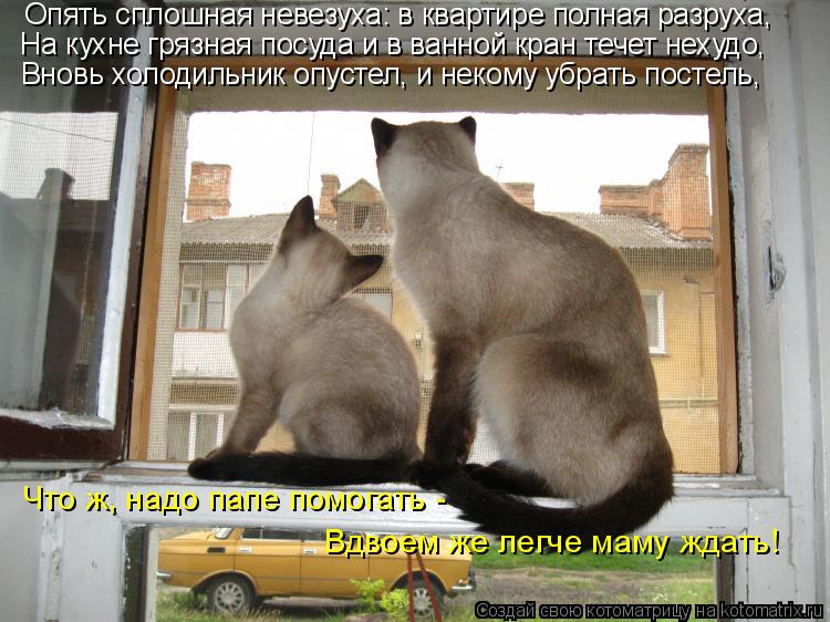 Опять сплошная невезуха: в квартире полная разруха, На кухне грязная посуда и в ванной кран течет нех... Котоматрица: Опять сплошная невезуха: в квартире полная разруха, На кухне грязная посуда и в ванной кран течет нехудо, Вновь холодильник опустел, и неком