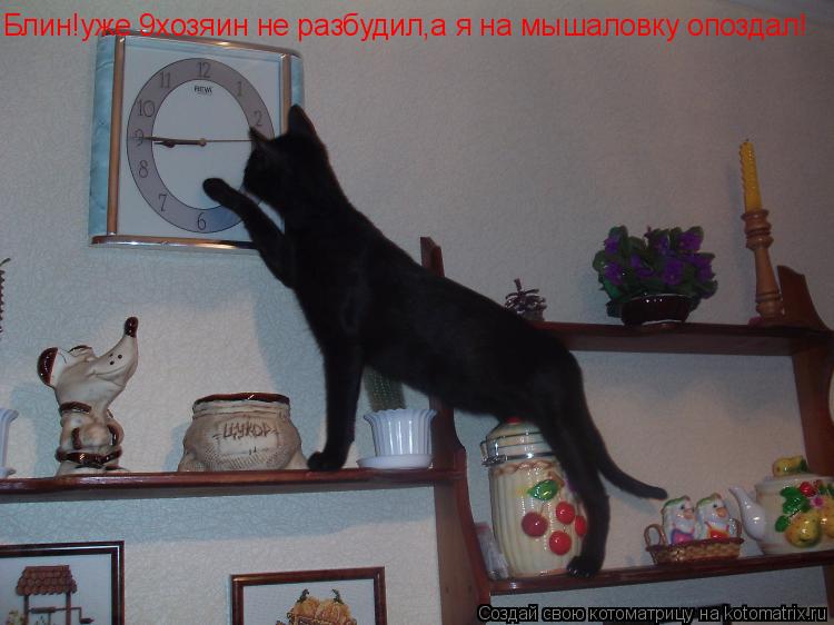 Блин!уже 9хозяин не разбудил,а я на мышаловку опоздал!... Котоматрица: Блин!уже 9хозяин не разбудил,а я на мышаловку опоздал!