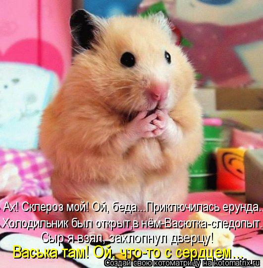 Ах! Склероз мой! Ой, беда..…Приключилась ерунда…... Холодильник был открыт,в нём-Васютка-следопыт… Сы... Котоматрица: Ах! Склероз мой! Ой, беда..…Приключилась ерунда…... Холодильник был открыт,в нём-Васютка-следопыт… Сыр я взял, захлопнул дверцу! Васька там!