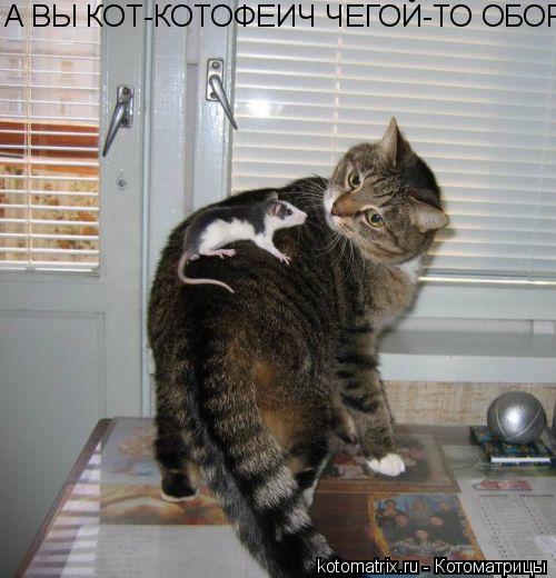 А ВЫ КОТ-КОТОФЕИЧ ЧЕГОЙ-ТО ОБОРАЧИВАТСЯ ИЗВОЛИЛИ???НАМ ВЕДЬ ЕЩЕ СКАКАТЬ И СКАКАТЬ... Котоматрица: А ВЫ КОТ-КОТОФЕИЧ ЧЕГОЙ-ТО ОБОРАЧИВАТСЯ ИЗВОЛИЛИ???НАМ ВЕДЬ ЕЩЕ СКАКАТЬ И СКАКАТЬ