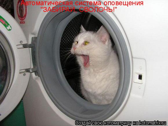 Автоматическая система оповещения "ЗАБИРАЙ, СВОЛОЧЬ!"... Котоматрица: Автоматическая система оповещения "ЗАБИРАЙ, СВОЛОЧЬ!"