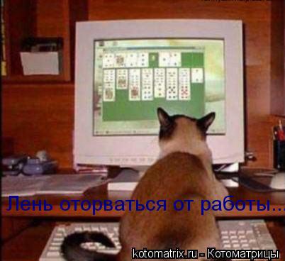 Лень оторваться от работы...... Котоматрица: Лень оторваться от работы...