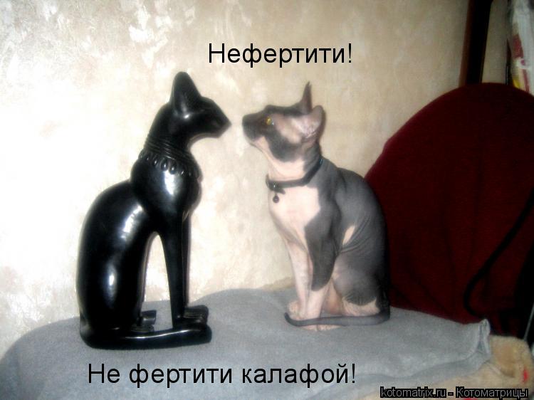 Не фертити калафой! Нефертити!... Котоматрица: Не фертити калафой! Нефертити!