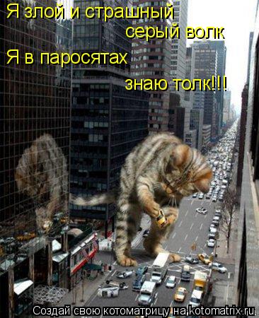 Я злой и страшный серый волк знаю толк!!! Я в паросятах... Котоматрица: Я злой и страшный серый волк знаю толк!!! Я в паросятах