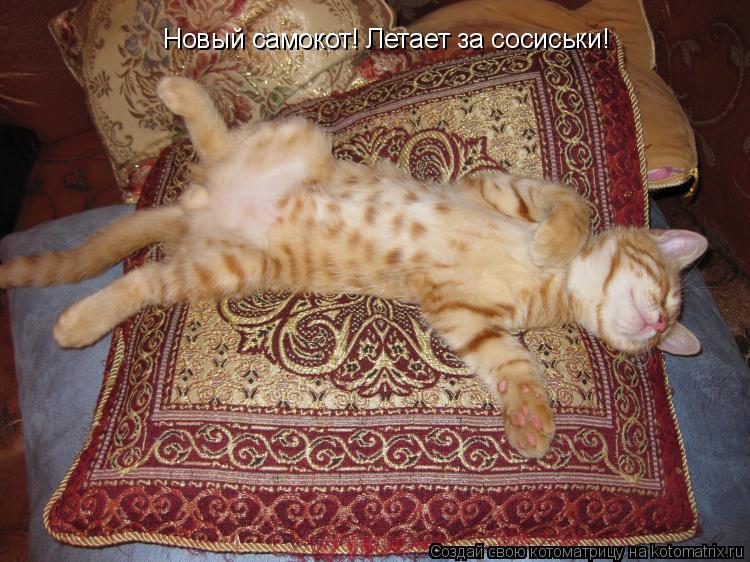Новый самокот! Летает за сосиськи!... Котоматрица: Новый самокот! Летает за сосиськи!