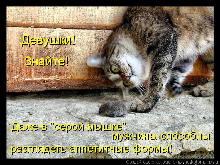 Даже в "серой мышке" мужчины способны разглядеть аппетитные формы! Девушки! Знайте!... Котоматрица: Даже в "серой мышке" мужчины способны разглядеть аппетитные формы! Девушки! Знайте!
