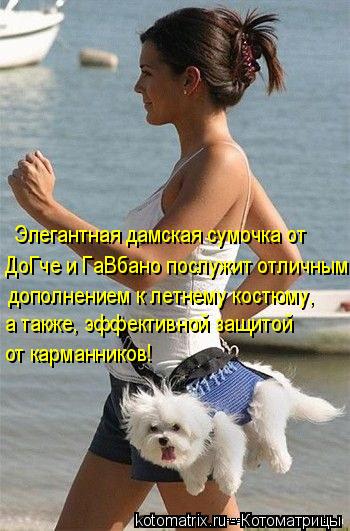 Элегантная дамская сумочка от ДоГче и ГаВбано послужит отличным дополнением к летнему костюму, а такж... Котоматрица: Элегантная дамская сумочка от ДоГче и ГаВбано послужит отличным дополнением к летнему костюму, а также, эффективной защитой от карманнико