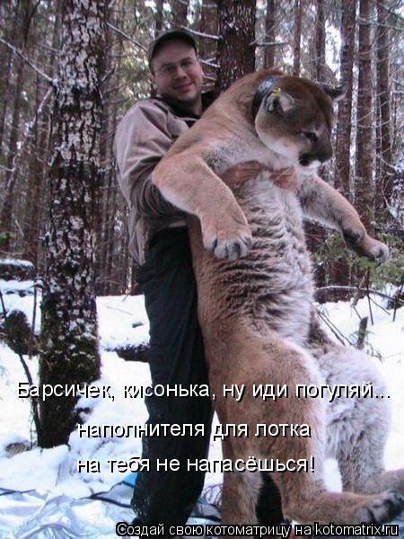 Барсичек, кисонька, ну иди погуляй... наполнителя для лотка на тебя не напасёшься!... Котоматрица: Барсичек, кисонька, ну иди погуляй... наполнителя для лотка на тебя не напасёшься!