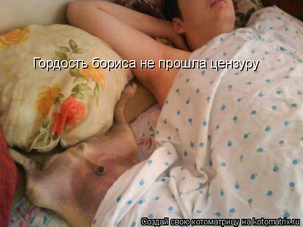 Гордость бориса не прошла цензуру... Котоматрица: Гордость бориса не прошла цензуру