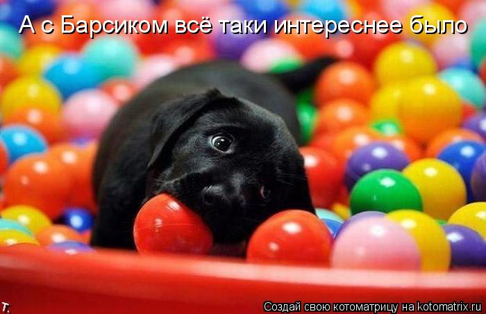 А с Барсиком всё таки интереснее было... Котоматрица: А с Барсиком всё таки интереснее было