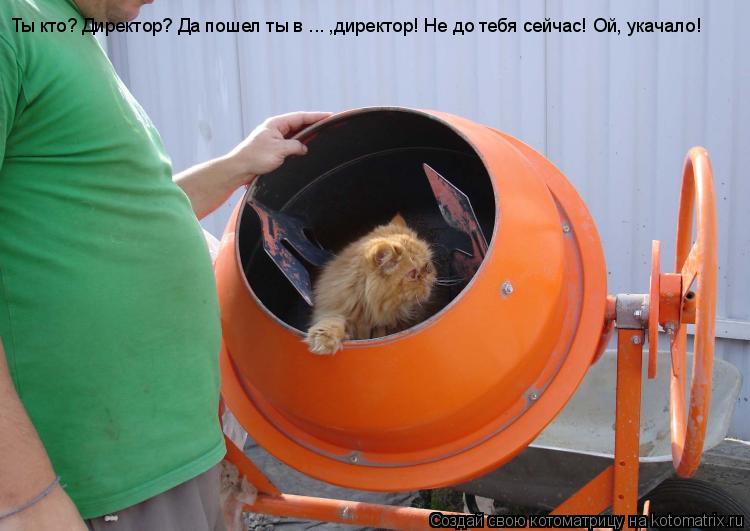Ты кто? Директор? Да пошел ты в ... ,директор! Не до тебя сейчас! Ой, укачало!... Котоматрица: Ты кто? Директор? Да пошел ты в ... ,директор! Не до тебя сейчас! Ой, укачало!