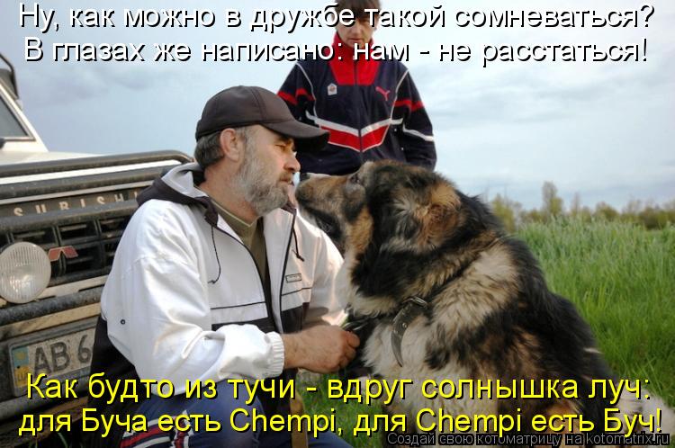 Ну, как можно в дружбе такой сомневаться? В глазах же написано: нам - не расстаться! Как будто из туч... Котоматрица: Ну, как можно в дружбе такой сомневаться? В глазах же написано: нам - не расстаться! Как будто из тучи - вдруг солнышка луч: для Буча есть Chempi, д