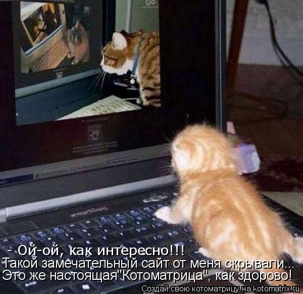 - Ой-ой, как интересно!!! Такой замечательный сайт от меня скрывали... Это же настоящая"Котоматрица",... Котоматрица: - Ой-ой, как интересно!!! Такой замечательный сайт от меня скрывали... Это же настоящая"Котоматрица", как здорово!