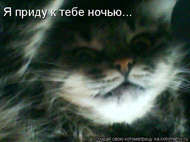 Я приду к тебе ночью...... Котоматрица: Я приду к тебе ночью...