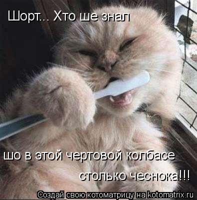 Шорт... Хто ше знал шо в этой чертовой колбасе столько чеснока!!!... Котоматрица: Шорт... Хто ше знал шо в этой чертовой колбасе столько чеснока!!!