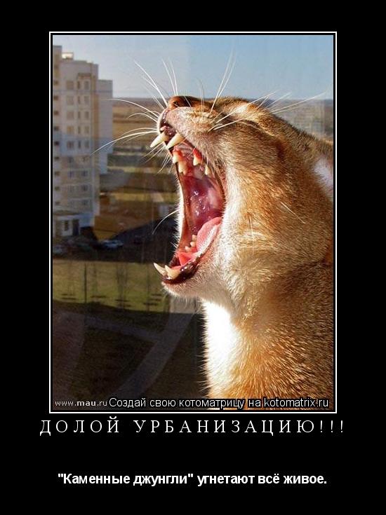Долой урбанизацию!!! "Каменные джунгли" угнетают всё живое.... Котоматрица: Долой урбанизацию!!! "Каменные джунгли" угнетают всё живое.