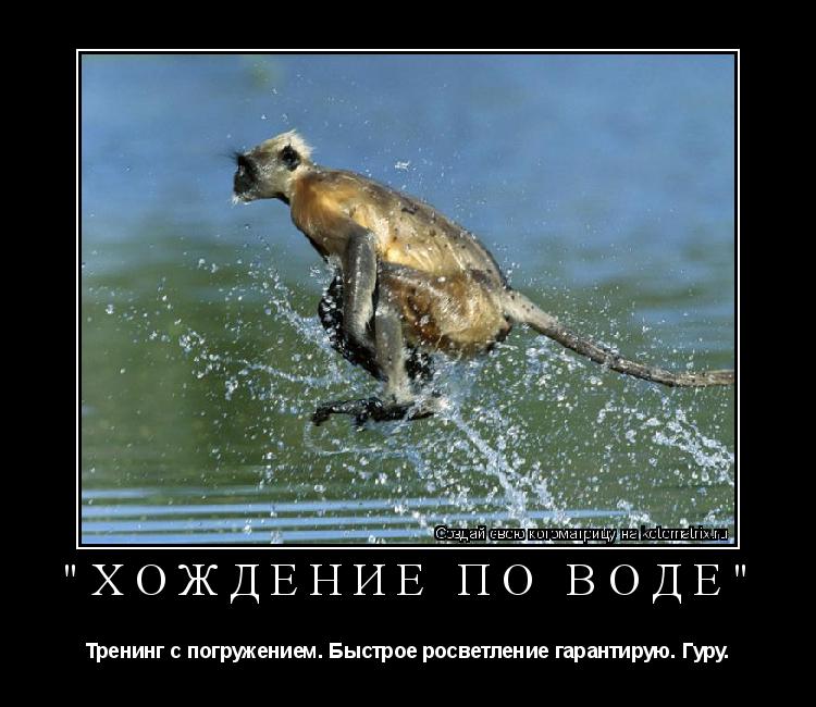 "Хождение по воде" Тренинг с погружением. Быстрое росветление гарантирую. Гуру.... Котоматрица: "Хождение по воде" Тренинг с погружением. Быстрое росветление гарантирую. Гуру.