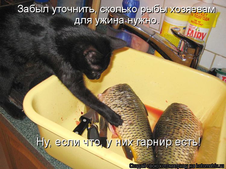 Забыл уточнить, сколько рыбы хозяевам для ужина нужно. Ну, если что, у них гарнир есть!... Котоматрица: Забыл уточнить, сколько рыбы хозяевам для ужина нужно. Ну, если что, у них гарнир есть!