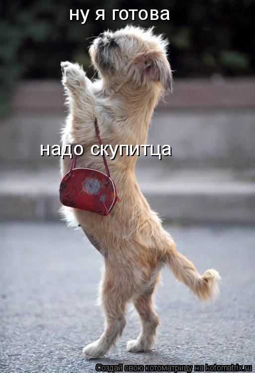 ну я готова надо скупитца... Котоматрица: ну я готова надо скупитца