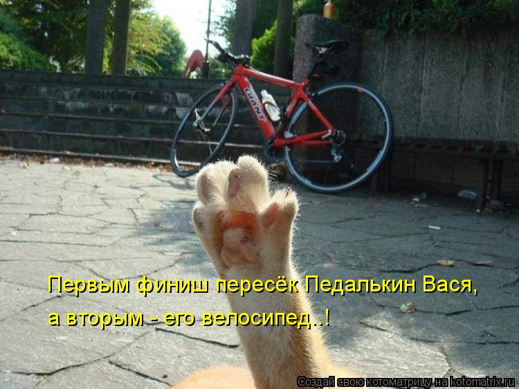 Первым финиш пересёк Педалькин Вася, а вторым - его велосипед..!... Котоматрица: Первым финиш пересёк Педалькин Вася, а вторым - его велосипед..!