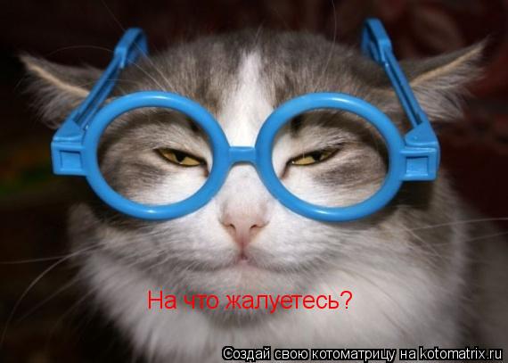 На что жалуетесь?... Котоматрица: На что жалуетесь?