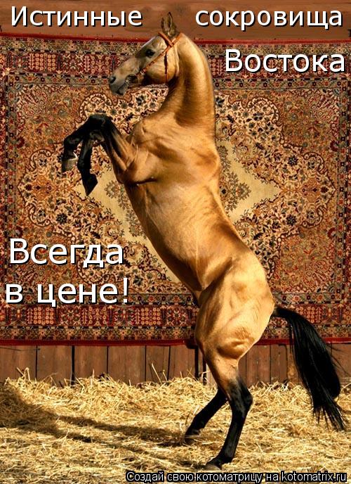 Истинные сокровища Востока Всегда в цене!... Котоматрица: Истинные сокровища Востока Всегда в цене!