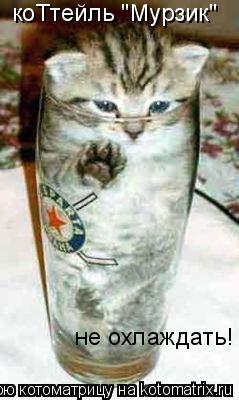 Котоматрица: коТтейль "Мурзик" не охлаждать!