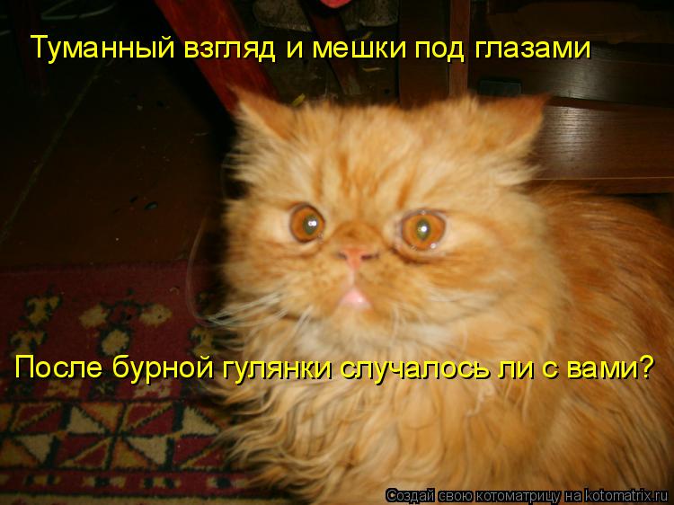 Туманный взгляд и мешки под глазами После бурной гулянки случалось ли с вами?... Котоматрица: Туманный взгляд и мешки под глазами После бурной гулянки случалось ли с вами?