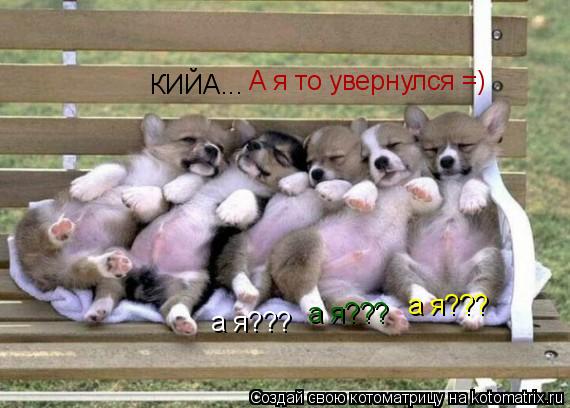 КИЙА... А я то увернулся =) а я??? а я??? а я???... Котоматрица: КИЙА... А я то увернулся =) а я??? а я??? а я???