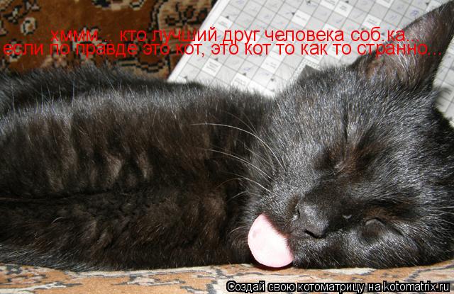 хммм... кто лучший друг человека соб.ка... если по правде это кот, это кот то как то странно...... Котоматрица: хммм... кто лучший друг человека соб.ка... если по правде это кот, это кот то как то странно...