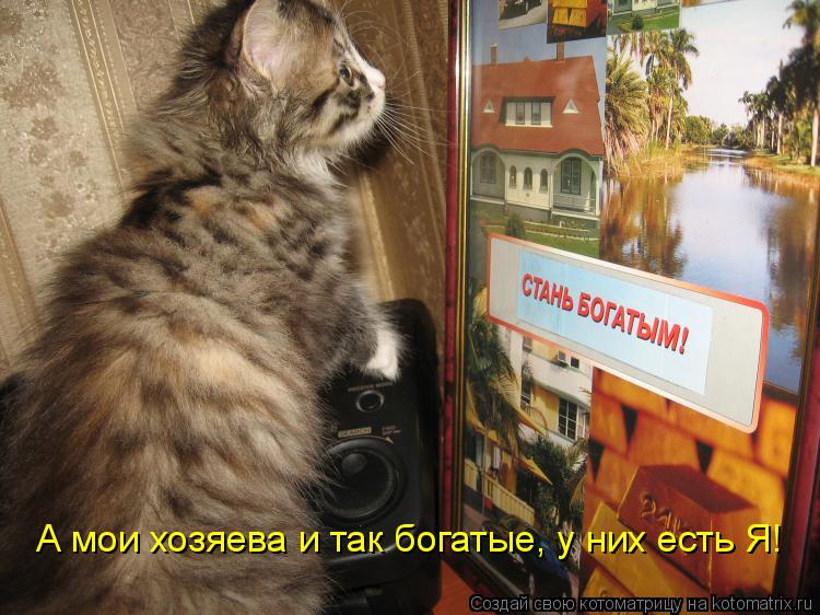 А мои хозяева и так богатые, у них есть Я!... Котоматрица: А мои хозяева и так богатые, у них есть Я!