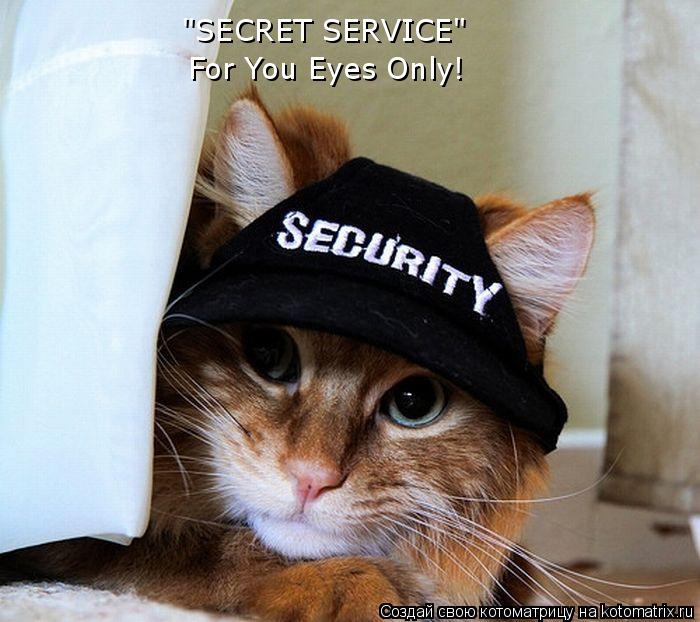 "SECRET SERVICE" For You Eyes Only!... Котоматрица: "SECRET SERVICE" For You Eyes Only!