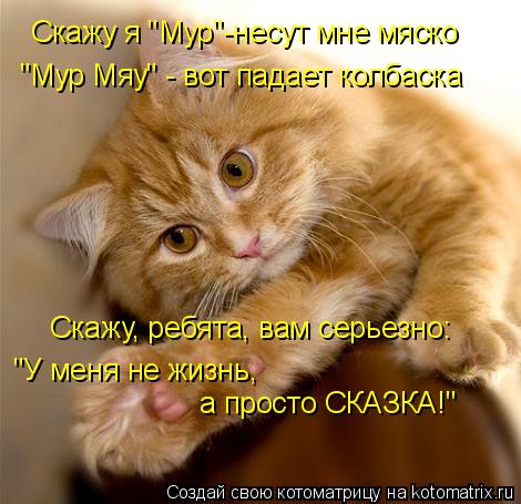 Скажу я "Мур"-несут мне мяско "Мур Мяу" - вот падает колбаска Скажу, ребята, вам серьезно: "У меня не... Котоматрица: Скажу я "Мур"-несут мне мяско "Мур Мяу" - вот падает колбаска Скажу, ребята, вам серьезно: "У меня не жизнь, а просто СКАЗКА!"