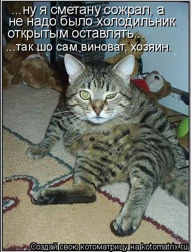 ...ну я сметану сожрал, а не надо было холодильник открытым оставлять... ...так шо сам виноват, хозяи... Котоматрица: ...ну я сметану сожрал, а не надо было холодильник открытым оставлять... ...так шо сам виноват, хозяин.