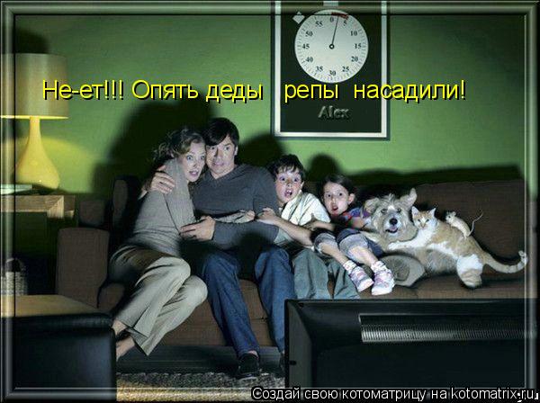 Не-ет!!! Опять деды репы насадили!... Котоматрица: Не-ет!!! Опять деды репы насадили!