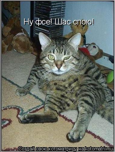 Ну фсе! Шас спою!... Котоматрица: Ну фсе! Шас спою!