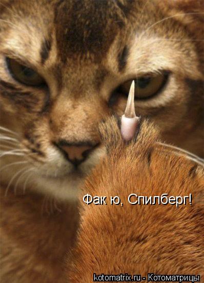 Фак ю, Спилберг!... Котоматрица: Фак ю, Спилберг!