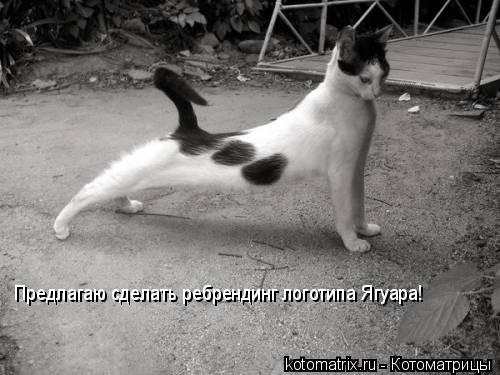 Предлагаю сделать ребрендинг логотипа Ягуара!... Котоматрица: Предлагаю сделать ребрендинг логотипа Ягуара!