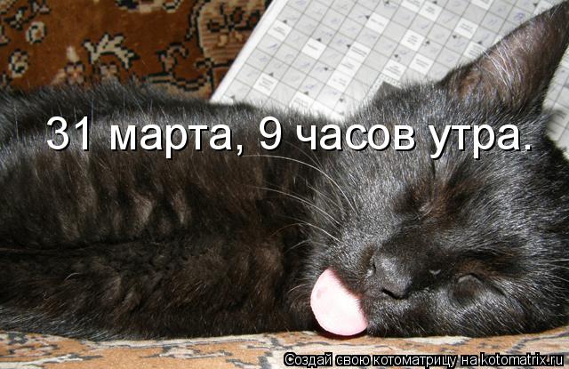 31 марта, 9 часов утра.... Котоматрица: 31 марта, 9 часов утра.