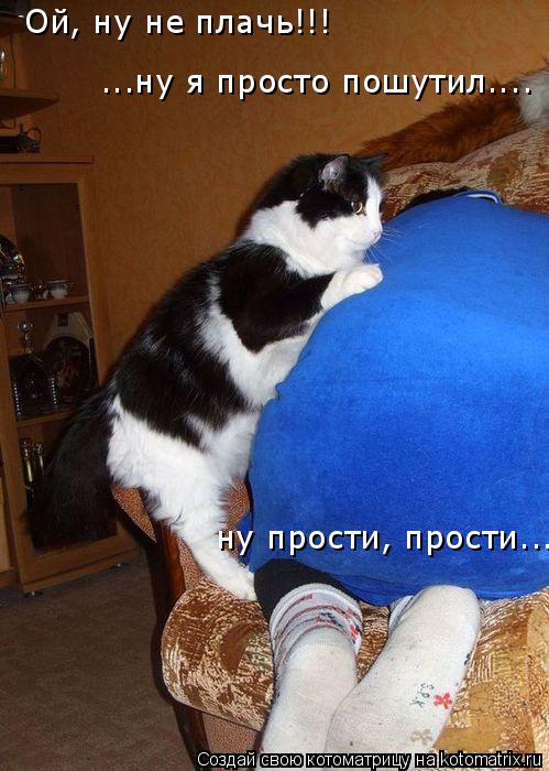 Ой, ну не плачь!!! ...ну я просто пошутил.... ну прости, прости...... Котоматрица: Ой, ну не плачь!!! ...ну я просто пошутил.... ну прости, прости...
