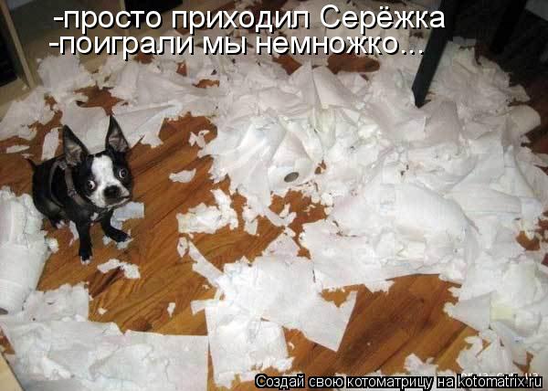 -просто приходил Серёжка -поиграли мы немножко...... Котоматрица: -просто приходил Серёжка -поиграли мы немножко...