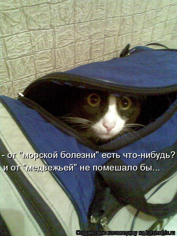 и от "медвежьей" не помешало бы... - от "морской болезни" есть что-нибудь?... Котоматрица: и от "медвежьей" не помешало бы... - от "морской болезни" есть что-нибудь?