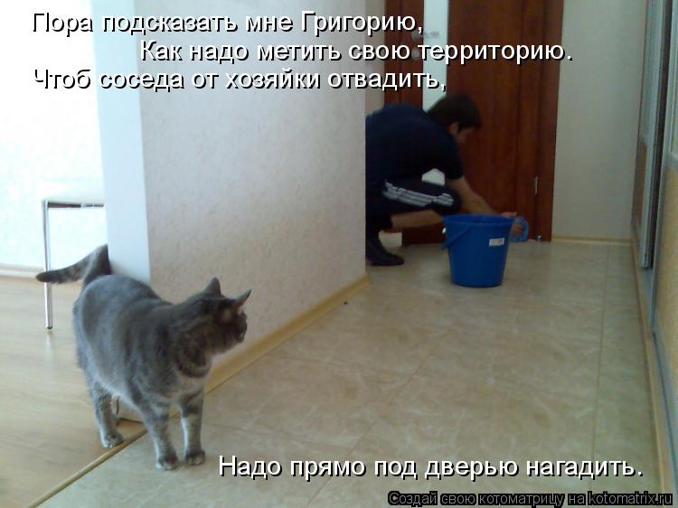 Как надо метить свою территорию. Пора подсказать мне Григорию, Чтоб соседа от хозяйки отвадить, Надо ... Котоматрица: Как надо метить свою территорию. Пора подсказать мне Григорию, Чтоб соседа от хозяйки отвадить, Надо прямо под дверью нагадить.