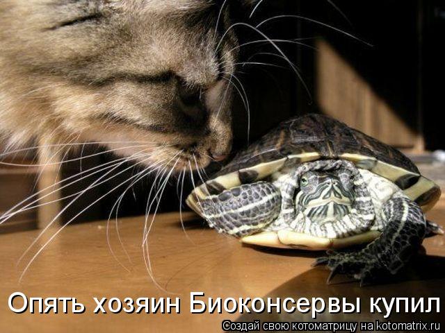 Опять хозяин Биоконсервы купил... Котоматрица: Опять хозяин Биоконсервы купил