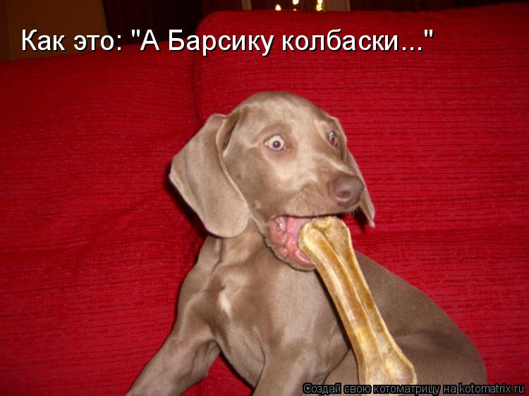 http://kotomatrix.ru/images/lolz/2009/09/17/360020.jpg