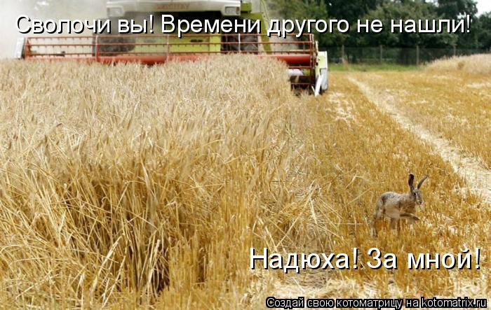 Сволочи вы! Времени другого не нашли! Надюха! За мной!... Котоматрица: Сволочи вы! Времени другого не нашли! Надюха! За мной!