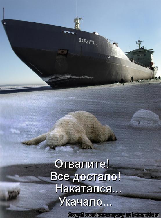 Отвалите! Все достало! Накатался... Укачало...... Котоматрица: Отвалите! Все достало! Накатался... Укачало...