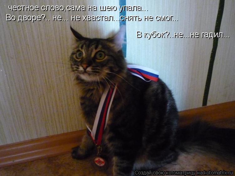 честное слово,сама на шею упала... Во дворе?.. не... не хвастал...снять не смог... В кубок?..не...не ... Котоматрица: честное слово,сама на шею упала... Во дворе?.. не... не хвастал...снять не смог... В кубок?..не...не гадил...